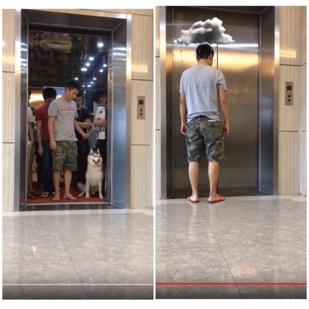 ▲哈士奇本來和主人一起進電梯，但因電梯超重，所以哈士奇留下主人，一隻狗瀟灑的坐電梯走了。（圖／翻攝自YouTube）