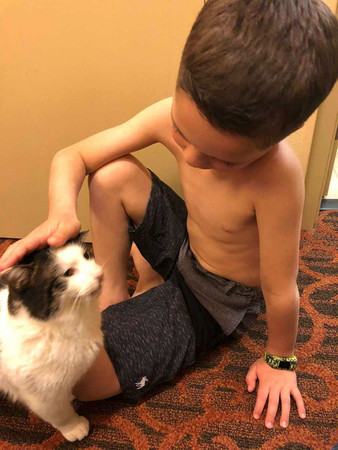「異色瞳+兔唇」7歲男童與貓（圖／翻攝自Boredpanda）