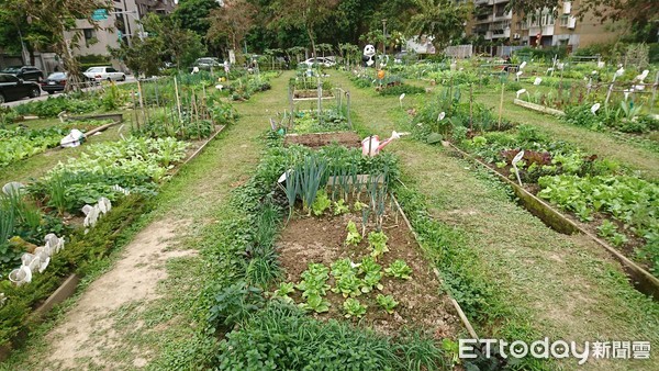 ▲都市公有地、軍方空地、鄰里菜園、都市綠化▼。（圖／記者屠惠剛攝）