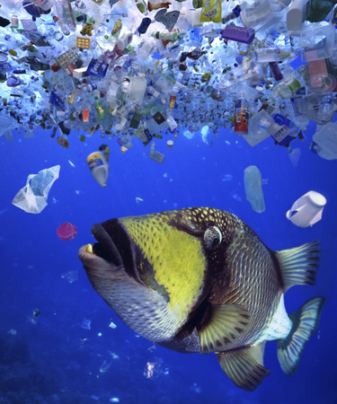 ▲▼塑膠垃圾目前已經占全球海洋汙染物的三分之一。（圖／達志影像）