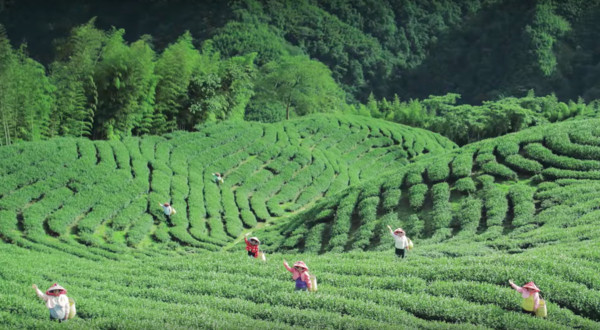 ▲驛動輕旅行－臺灣鐵道觀光宣傳片 。（圖／交通部觀光局提供）