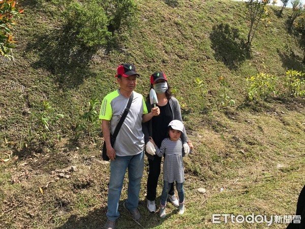 花蓮林管處在大農大富平地森林園區入口處辦理植護樹活動，除將生病光蠟樹清創殺菌隔離外，同時與當地居民在花蓮版伯朗大道兩旁補植俗稱「萬兩金」的春不老。（圖／花蓮林管處提供）