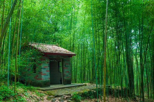 ▲雙流、八仙山、東眼山國家森林遊樂區。（圖／翻攝自林務局網站）