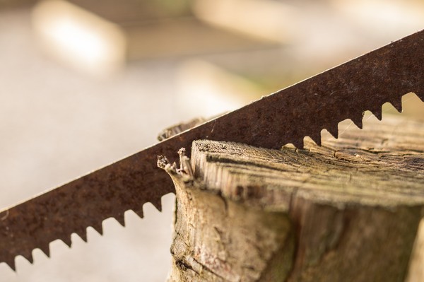 ▲▼鋸子,木材。（圖／pixabay）