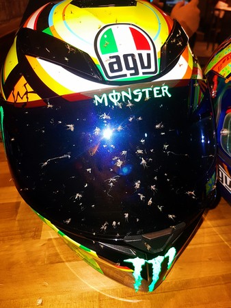 ▲▼騎車一趟回來，蚊子、安全帽都慘烈犧牲。（圖／翻攝爆廢公社）