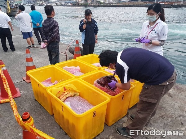 ▲南澳查獲大批海豚肉。（圖／宜蘭縣政府農業處提供）