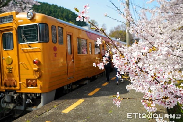 ▲▼伊予灘物語觀光列車。（圖／Crystal Lin授權提供）