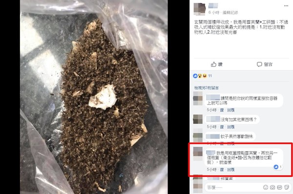 ▲▼捕蚊妙招雪芙蘭。（圖／翻攝自爆廢公社）