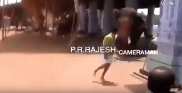 ▲▼印度南部喀拉拉邦(Kerala）突然衝向群眾，造成1死12傷。（圖／翻攝自YouTube WASEEM KHIZER頻道）