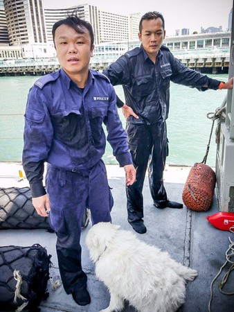 港警救落水狗，狗兒4天後墜樓慘死。（圖／翻攝自香港警察 Hong Kong Police）