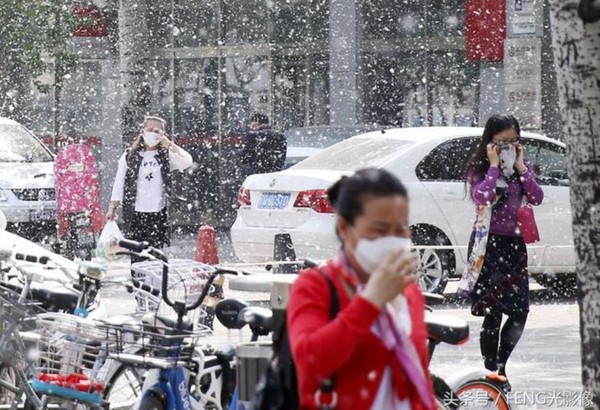 ▲▼北京飄起四月雪。（圖／翻攝自微博）