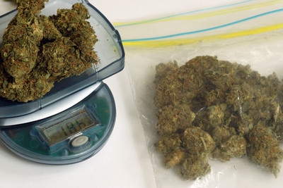 大麻花相關新聞報導 懶人包 照片 影片 評價 爭議 負評 缺點 Ptt Dcard Ettoday新聞雲
