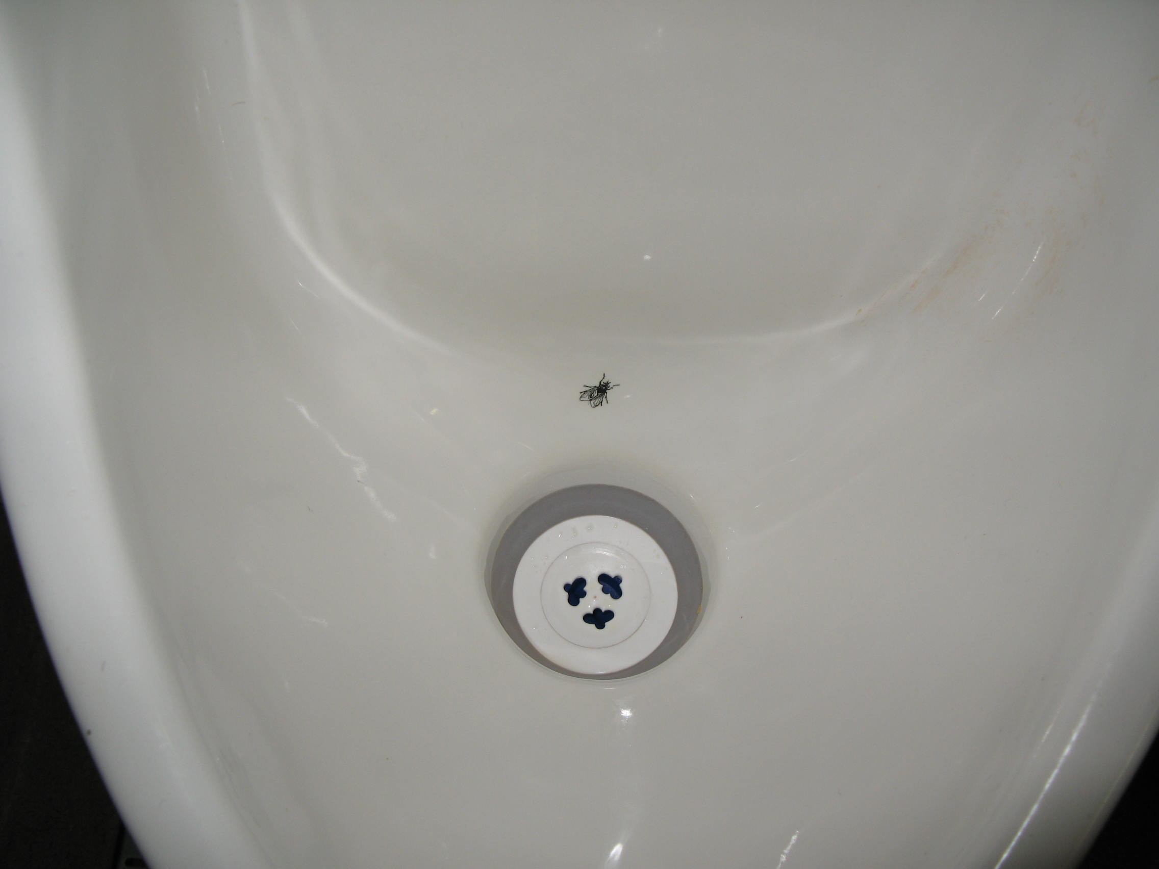 尿尿蒼蠅,蒼蠅貼紙,小便斗,Urinal Fly（圖／SuSanA Secretariat CC2.0）