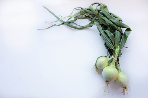 ▲▼蔥,蔬菜。（圖／取自Pixabay）
