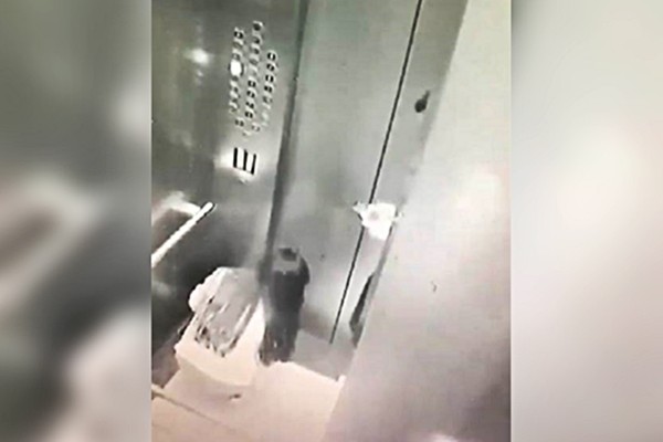 ▲▼ 開BMW載她撞死人　飛車落跑！女友目睹全程「電梯崩潰痛哭」。（圖／翻攝監視器畫面）