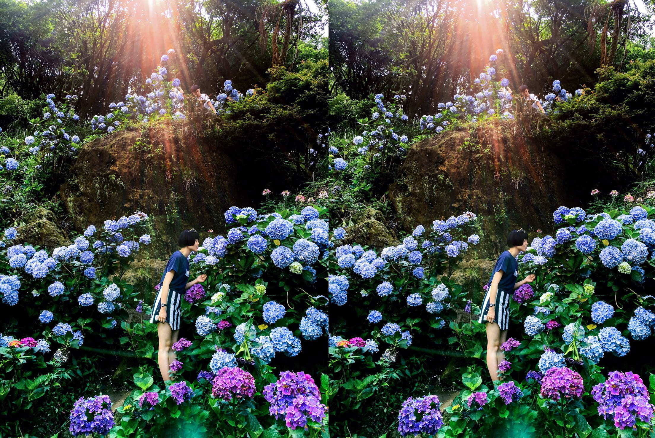 預約你下一次的賞花小旅行8月前全台必看夢幻5大花海 Ettoday旅遊雲 Ettoday新聞雲