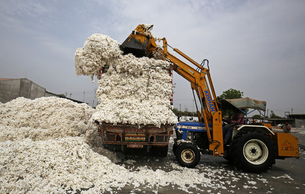 贸易战给第三者赚了一笔 印度和中国签下「棉花出口大单」
