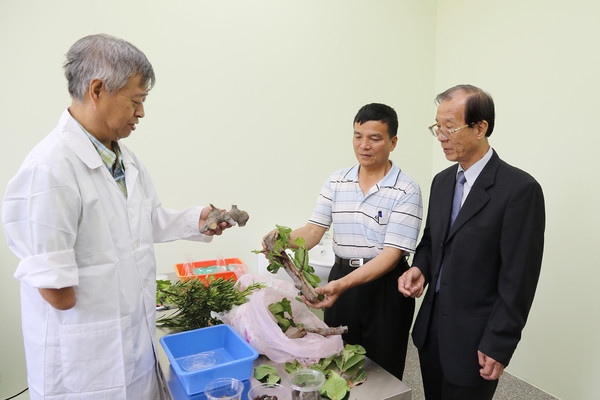 ▲▼首間植物教學醫院開幕！　中興大學開放農作物看診。（圖／翻攝中興大學官網）