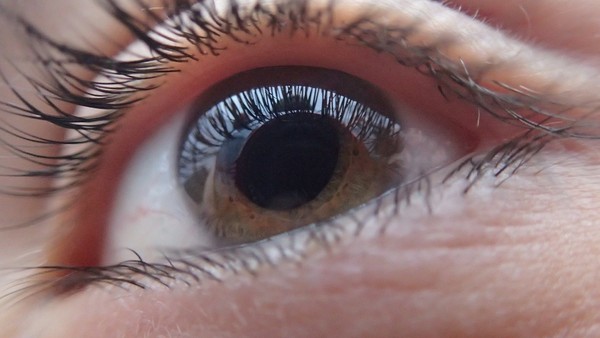 ▲眼睛,視力,瞳孔,眼睫毛,眼皮,失明,青光眼。（圖／翻攝自pixabay）