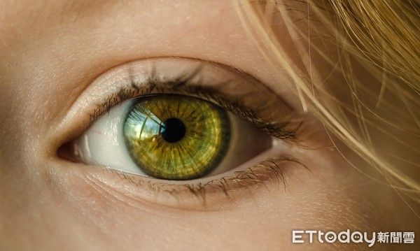 ▲葉黃素,白藜蘆醇,眼睛,葡萄。（圖／翻攝自Pixabay）