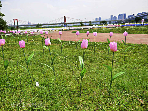 ▲江翠礫間水岸公園。（圖／小妞的生活旅程提供）