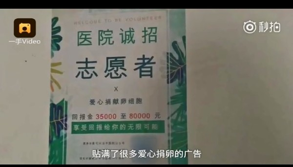 ▲▼上海建橋學院驚現捐卵廣告             。（圖／翻攝自秒拍）