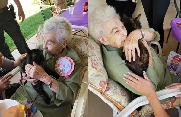 ▲2年前痛失愛貓…103歲奶奶收「生日驚喜」　馬上抱懷裡當寶貝。（圖／翻攝自St. George Animal Shelter粉絲專頁）