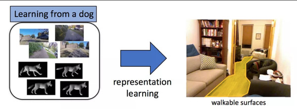 ▲換個角度看世界！研究人員讓AI跟著狗學習（圖／翻攝 The Verge）