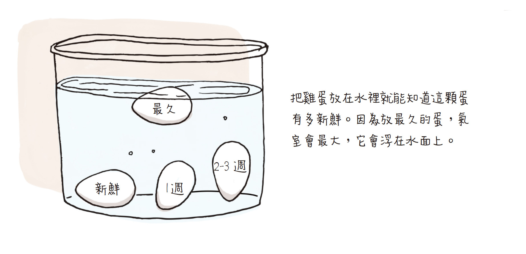 ▲▼《食物解剖》（圖／業者創意市集出版社提供）