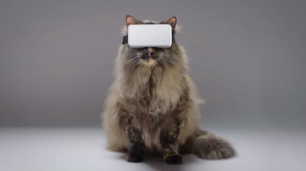 ▲貓用VR。（圖／翻攝自Isobar網站）
