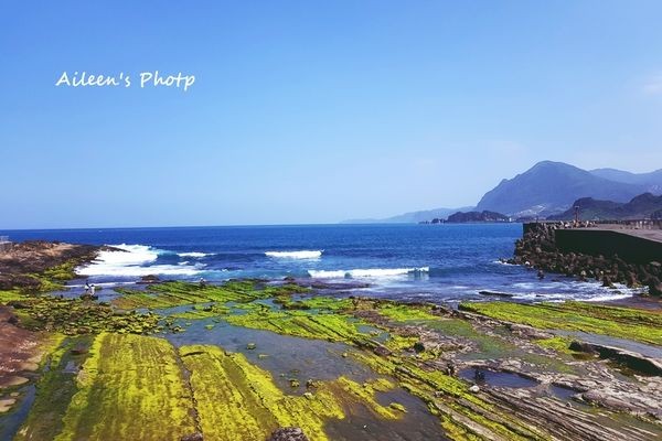 ▲北海岸一日遊,和平島公園,潮境公園,老梅綠石槽,象鼻岩,黃金瀑布。（圖／網友Aileen提供）