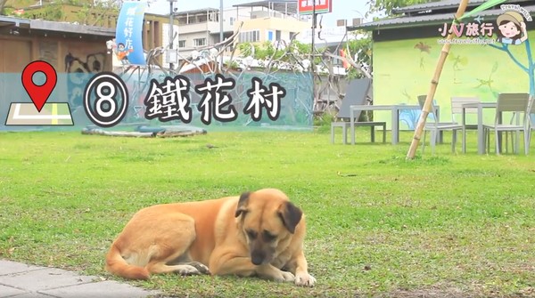 ▲13個花東美食、景點。（圖／小V旅行提供）