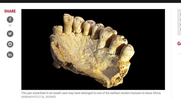 ▲▼7顆古老牙齒，顛覆人類遷徙史。（圖／翻攝自sciencemag）