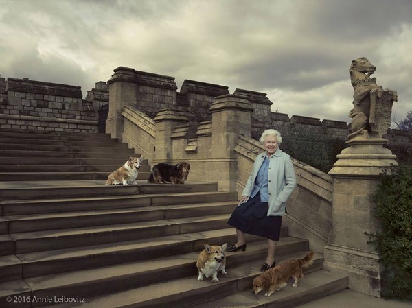 ▲英國女王90歲生日時和4隻愛犬合照，Willow（左）在上周末過世。（圖／翻攝自臉書The Royal Family）