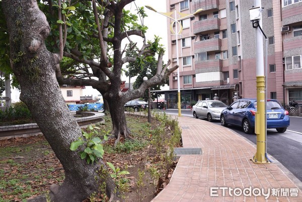 花蓮市長魏嘉賢前往花崗山運動公園現勘地景營造竣工情形。（圖／花蓮市公所提供）