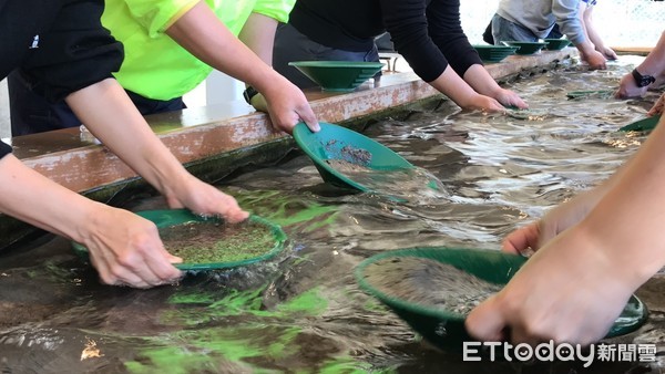 ▲▼新潟佐渡島西三川黃金公園淘金體驗。（圖／記者賴文萱攝）