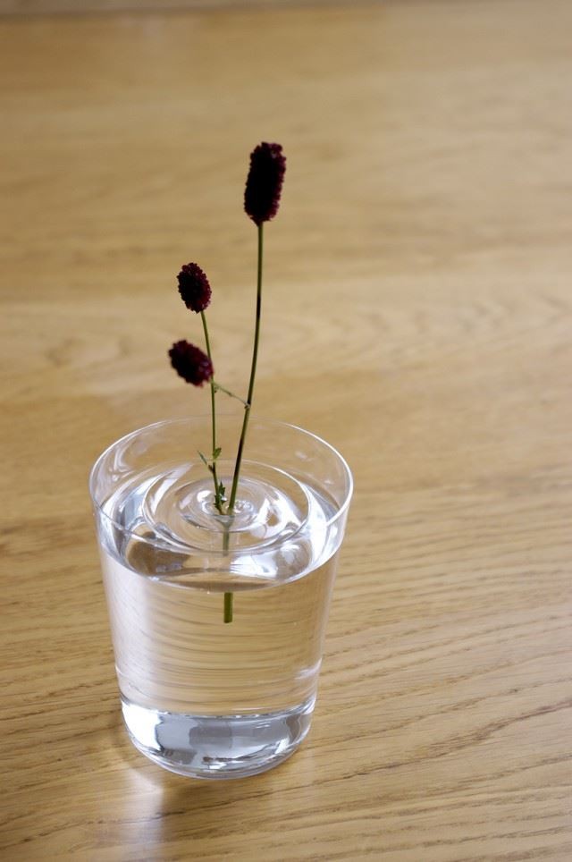 ▲oodesign設計的漂浮花瓶。（圖／翻攝oodesign.jp）