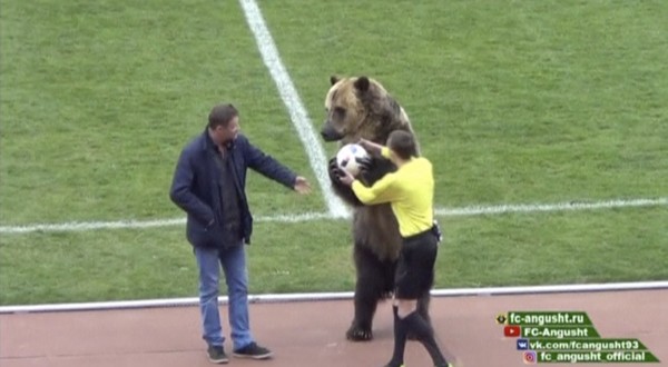 ▲▼俄羅斯足球賽中，一隻大棕熊上場表演，引起動保團體抗議。（圖／記者錢玉紘攝）