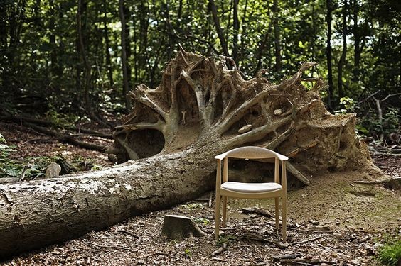 ▲The Round Chair by Hans J. Wegner。（圖／翻攝pinterest）