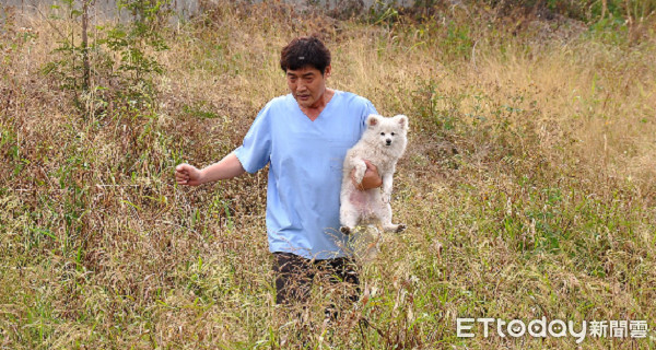 ▲▼堤岸有3層樓高！5隻狐狸犬遭繁殖業者扔阿公店溪　2淹死2失蹤。（圖／台灣動物緊急救援小組提供）