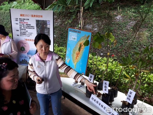 花蓮林管處響應世界地球日，於美崙山公園及田埔生態池辦理「客家桐花季─保安林宣導」及「草地音樂會」活動，民眾參與踴躍，活動熱鬧有趣。（圖／花蓮林管處提供）