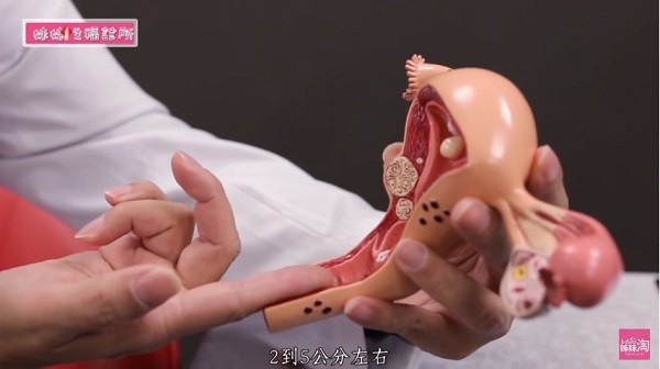 高潮分五級且超難達到 潮吹跟漏尿很難分 Ettoday健康雲 Ettoday新聞雲