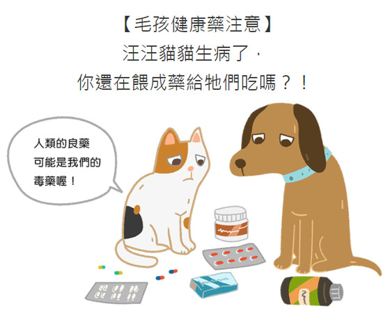 ▲毛起來配圖。