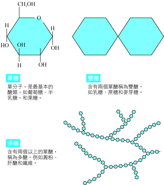 ▲▼《別讓錯誤的營養觀害了你》配圖（圖／業者時報出版提供）