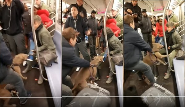 帶狗上地鐵惹怒女乘客　「主人被打」比特犬出口狠咬 。（圖／翻攝自ViralSnare的youtube）