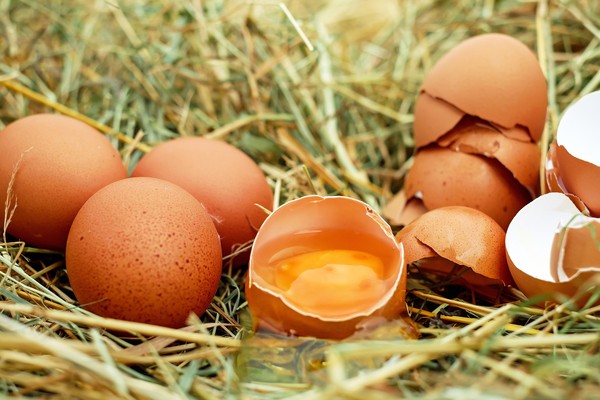 ▲▼雞蛋示意圖。（圖／翻攝自免費圖庫pixabay）
