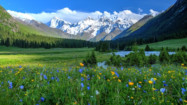 ▲前進北疆祕境峽谷、草原、深山公路一次收藏▼             。（圖／Shutterstock.com、喜鴻旅遊提供）