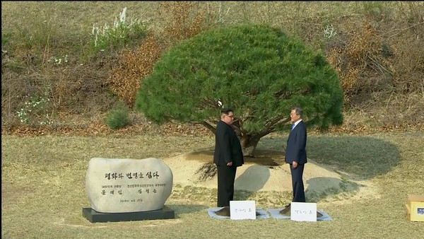 ▲文金會／北韓領導人金正恩與南韓總統文在寅種植松樹。（圖／路透社）