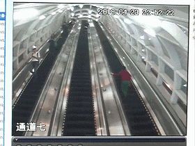 ▲▼深圳地鐵一名女子的行李滾落手扶梯，鏟飛前方乘客。（圖／翻攝《梨視頻》）
