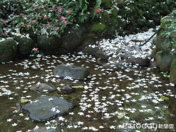 ▲生態環境與永續農業的實踐者 康莊有機聚落生態復育有成。（圖／農委會提供）